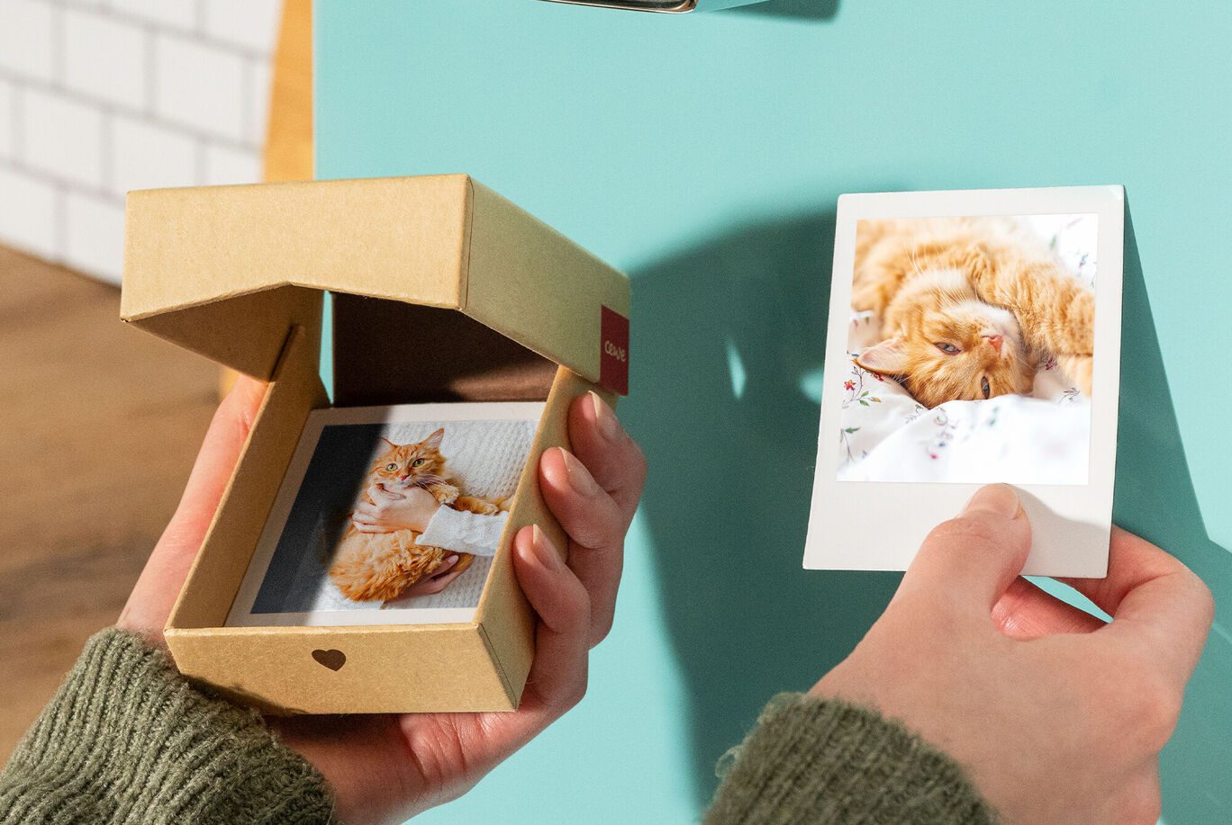 Una persona tiene in una mano una polaroid di un carino gattino, mentre nell'altra tiene una scatola con altre foto.