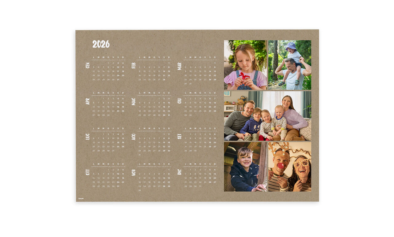 Organizer annuale